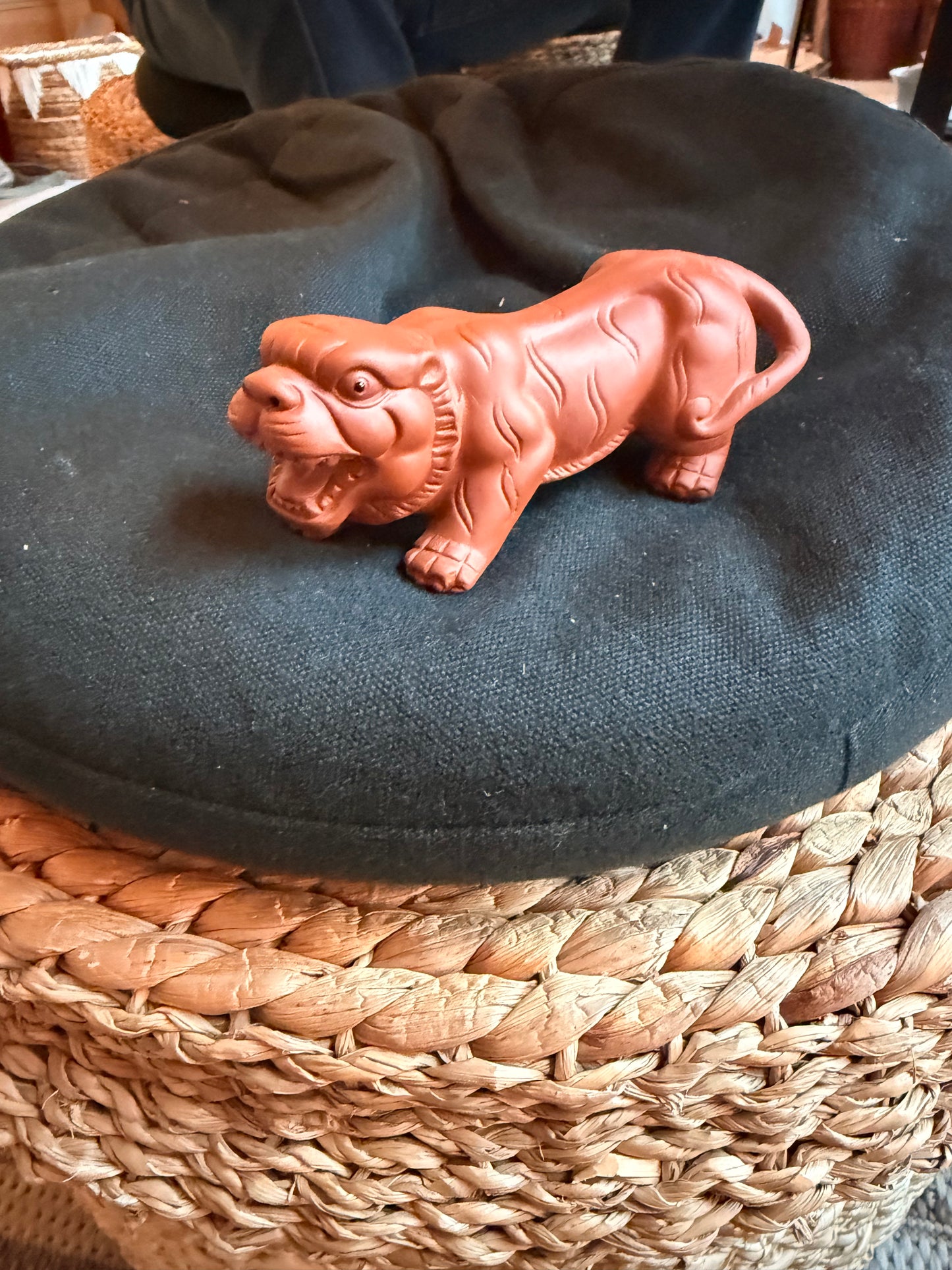 Tiger red tea pet
