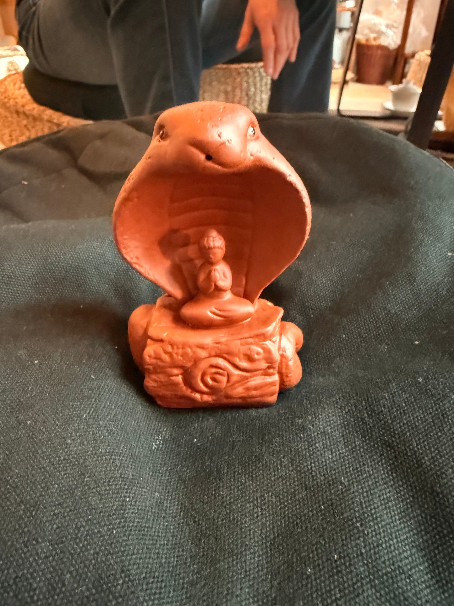 Snake red tea pet