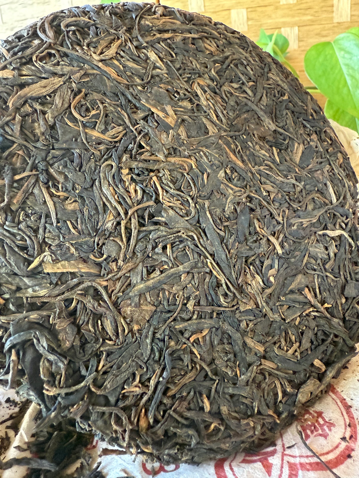 (2005) Mountain Spirit: 8582 Aged Sheng Pu'er