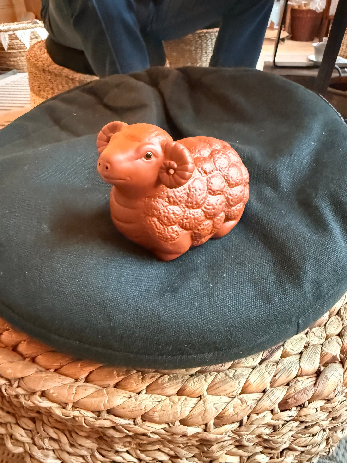 Ram red tea pet