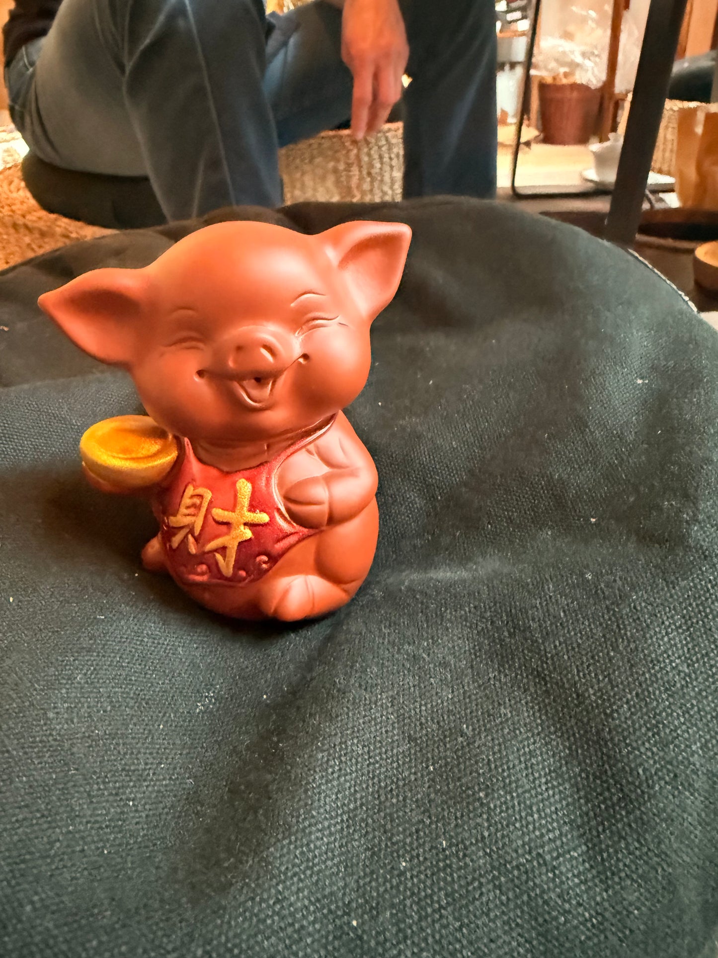 Pig red tea pet