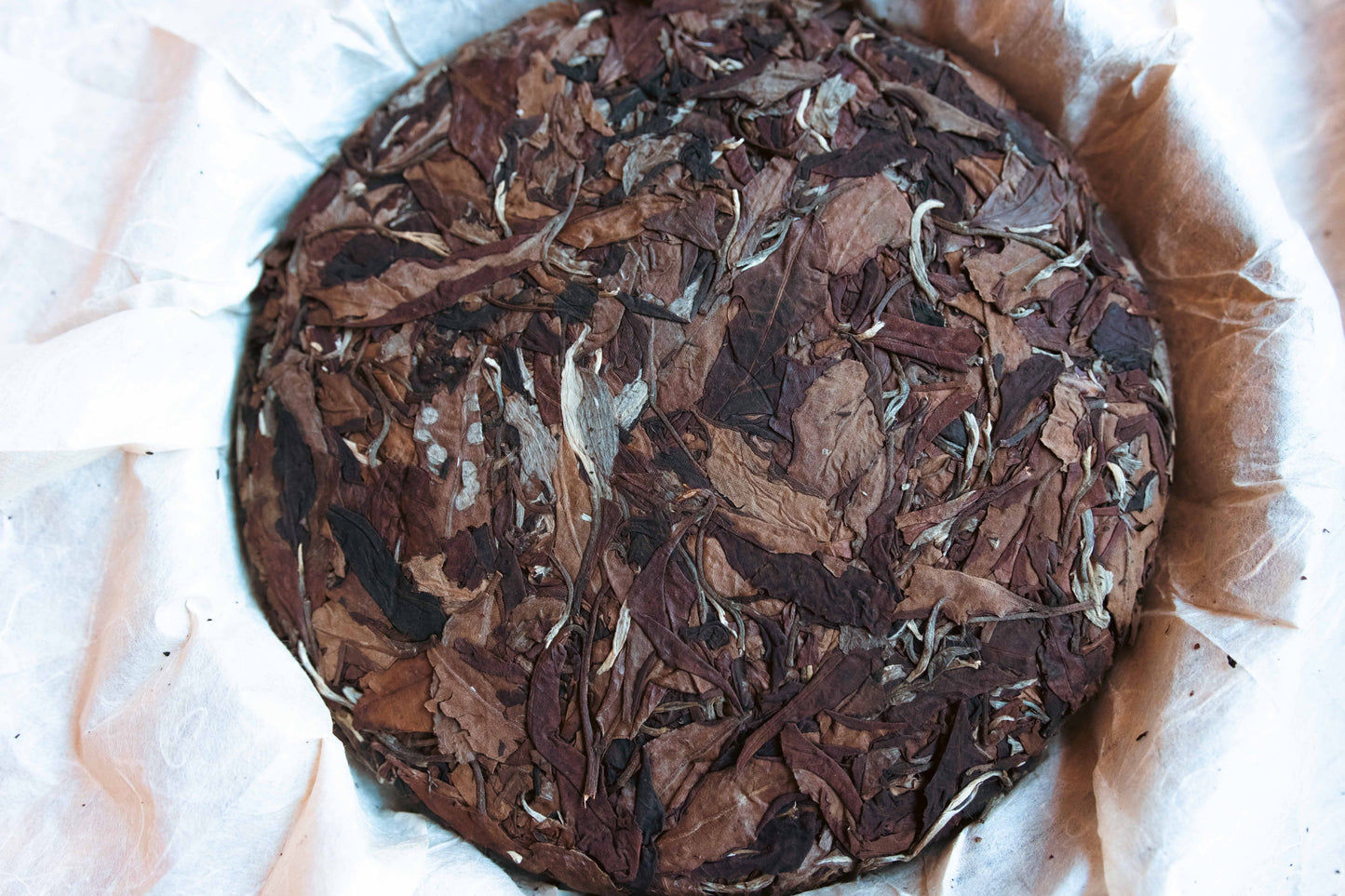 Uncarved Block: 2012 Jingmai Old-Tree Aged White Tea