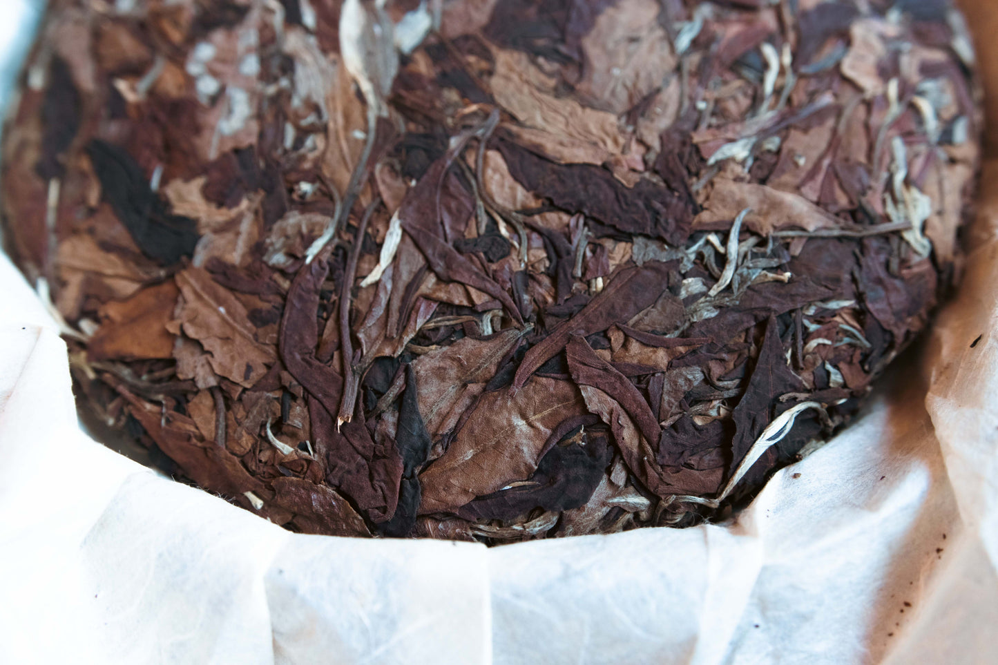 Uncarved Block: 2012 Jingmai Old-Tree Aged White Tea